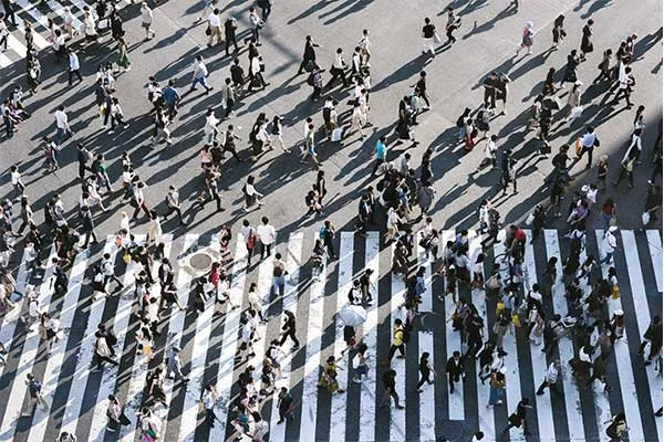 adult-population Adult Population